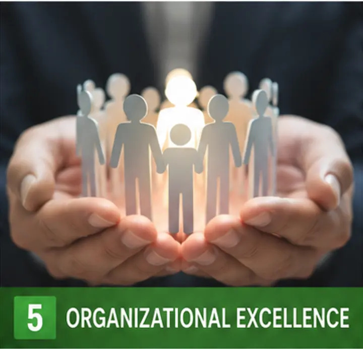 Organizational Excellence